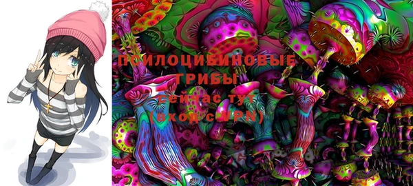 хмурый Пересвет