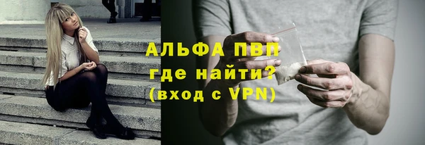 хмурый Пересвет