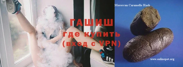хмурый Пересвет