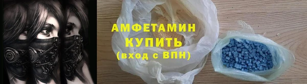 хмурый Пересвет
