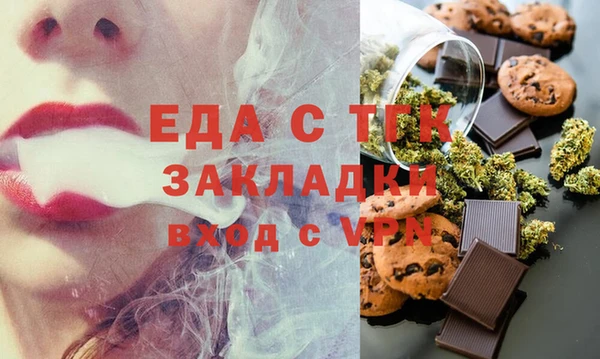 хмурый Пересвет