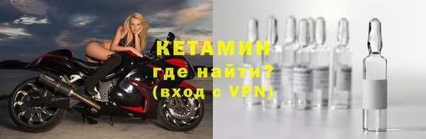 хмурый Пересвет