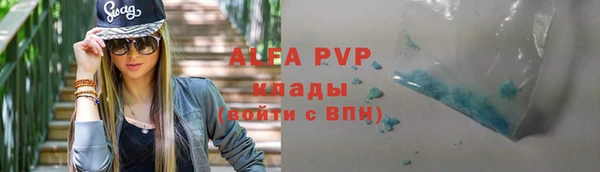 хмурый Пересвет