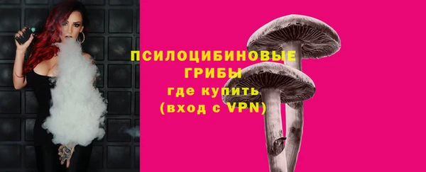 хмурый Пересвет