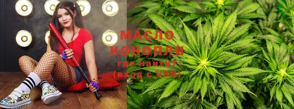 гидра Пестово