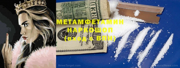 хмурый Пересвет