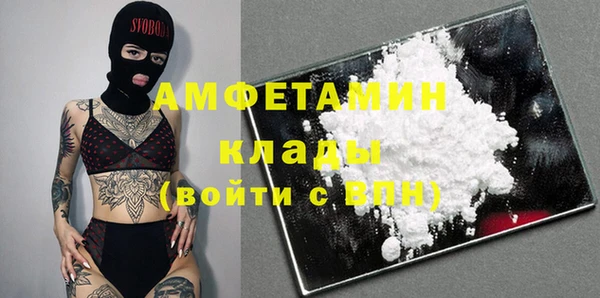 гидра Пестово
