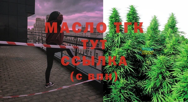 хмурый Пересвет