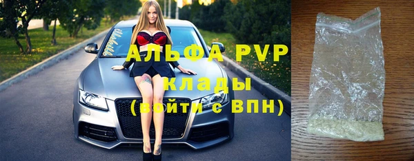 хмурый Пересвет