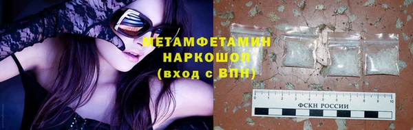 хмурый Пересвет