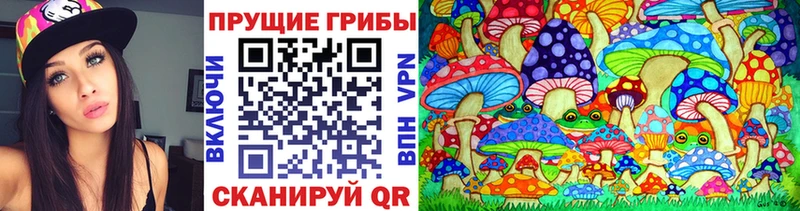 Галлюциногенные грибы Cubensis  Купить закладки  Камызяк 